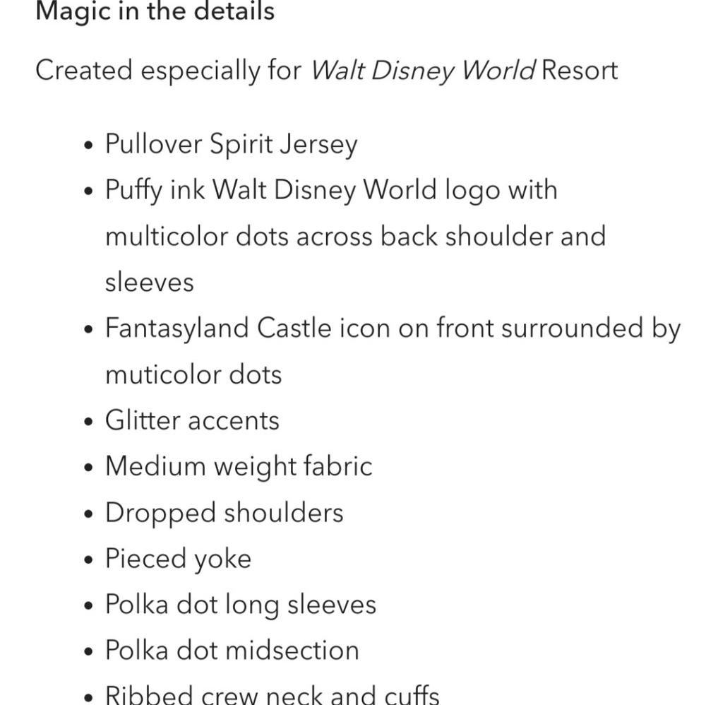 WDW Swearshirt NWT X-Small - Picture 5 of 6